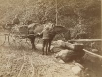 871. The Roadside Watering Trough.