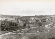 Birds Eye View of Veneer Mill - McKeever, N.Y.