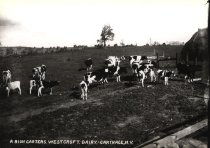 A. Bion Carters West Croft Dairy. Carthage, N.Y.