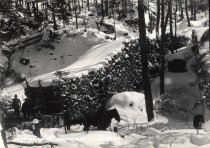 At the Big Skidway. Brandreth, N.Y.  Mac-a-Mac.