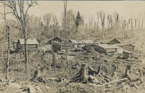 Print, Real Photo Postcard