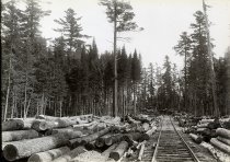 photo - copyprint; mounted