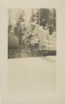 Print, Real Photo Postcard