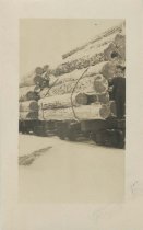 Print, Real Photo Postcard