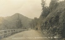 Lansingkill Trail, Boonville, N.Y. 50a.