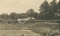 Warden's Garden, Comstock, N.Y. 8.