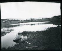 photo - contact print