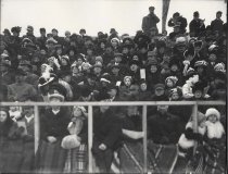 photo - contact print