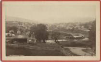 301. Ticonderoga Village.