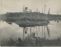 391. Raquette River. Cut-off at Big Ox-bow.