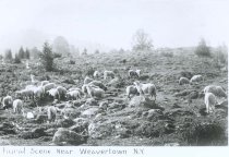 Rural Scene near Weavertown N.Y.