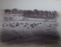 89. The Winooski Valley, Vermont.