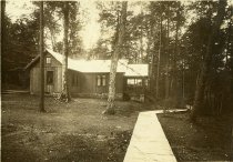 Print, collodian printing out paper