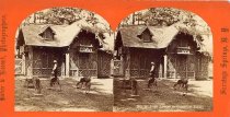 Stereoview