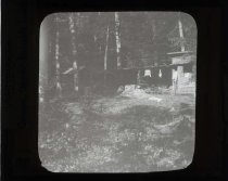 Adirondacks, Camps, Upper Ausable Lake