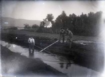 Negative, Glass Plate