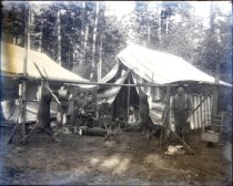 Negative, Glass Plate