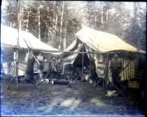 Negative, Glass Plate