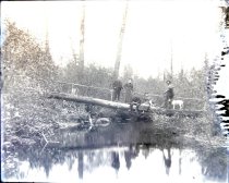 Negative, Glass Plate
