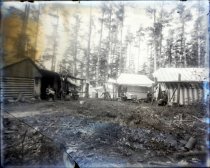 Negative, Glass Plate