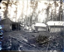 Negative, Glass Plate