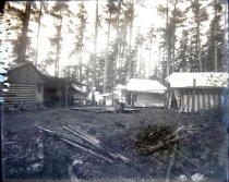 Negative, Glass Plate