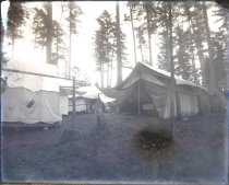Negative, Glass Plate