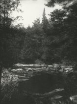 View of the Moose River