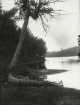 Birch Canoes on Dart Lake
