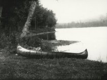 Birch Canoes on Dart Lake
