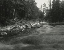 View of the Moose River Near Darts Camp