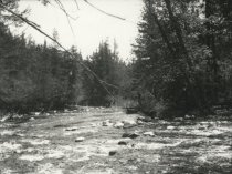 Moose River Rapids Near Dart Lake