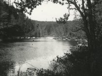 Moose River Near Darts Lake
