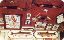 Beautiful Lake Trout