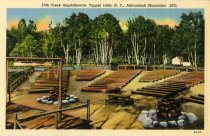 Fish Creek Ampitheater, Tupper Lake, N.Y., Adirondack Mountains