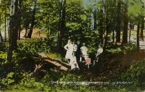 In the Woods of the Adirondack Mts., Sacandaga, N.Y.