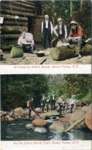 John's Brook, Keene Valley, N.Y.