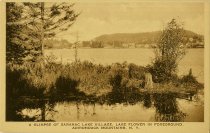 A Glimpse of Saranac Lake Village, Lake Flower in Foreground. Adirondack Mountains, N.Y.