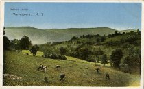 Scene near Wevertown, N.Y.
