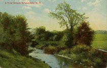 A Trout Stream, Schenectady, N.Y.