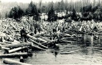 Log Jam of 13'4" Logs
