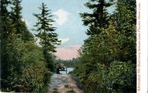 Adirondack mts., Boat Carry between Lake Placid and Mirror Lake