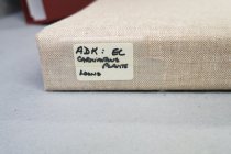 ADK: Carnivorous Plants/Loons