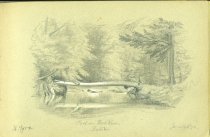 Pool on Rock Run, Ralston. June 23, 1870