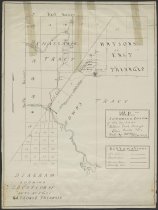 Diagram showing location of lots nos. 3 and 21 Watson's E. Triangle