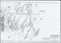 Map of Lots 109, 110, 114, 115 & 116, etc., Chase's Patent, & Sub. 8, Lot 9, G.B. & L. Patent, according to survey made to reestablish the boundary lines of State Lands therein.