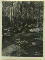 Adirondack Nature Scene