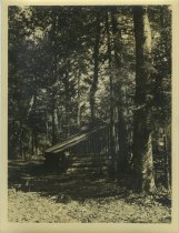 Adirondack Nature Scene with Lean-to