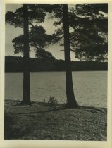 Adirondack Nature Scene