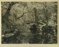 Adirondack Nature Scene